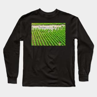 Vineyard times - Far Niente Napa Valley Long Sleeve T-Shirt